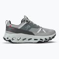 Herren Wanderschuhe On Running Cloudhorizon alloy/frost 2