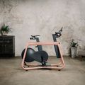 Indoor Cycle KETTLER Hoi Frame terracotta 4