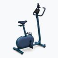 KETTLER Hoi Ride+ Heimtrainer Heidelbeere grün