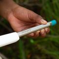 LifeStraw SIP 1-Teil Wasser Fitting Strohhalm mit Tragetasche laguna teal 2