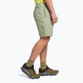 Herren-Klettershorts The North Face Project beige NF0A5J8M3X31 3