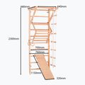 RINAGYM Sport 3 Gymnastikleiter 9