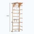 RINAGYM Eco-Pine Gymnastikleiter 6