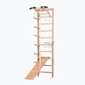 RINAGYM SPR A+SLIDE Gymnastikleiter 2