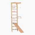 RINAGYM SPR B+SLIDE Gymnastikleiter 2