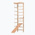 RINAGYM SPR B+SLIDE Gymnastikleiter 3