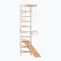 RINAGYM SPR B+SLIDE Gymnastikleiter