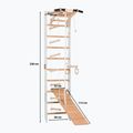RINAGYM SPR A+SLIDE Gymnastikleiter 2