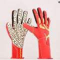 Torwarthandschuhe PUMA Future Z:ONE Grip 1 NC orange 41875 8