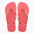 Havaianas Brasil Logo tropische Koralle Flip Flops 4