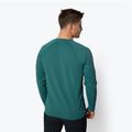 Herren-Trekkinghemd Black Diamond Alpenglow Crew grün AP7520923028SML1 3