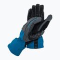 Black Diamond Cirque Skihandschuh schwarz-blau BD8018964015LG_1