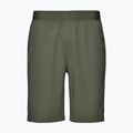 Herren-Klettershorts Black Diamond Sierra grün AP7511013010XLG1 5
