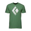 Black Diamond Chalked Up Herren Kletter-T-Shirt grün APUO953050LRG1 4