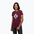 Damen Kletter-T-Shirt Black Diamond Chalked Up lila AP7300525016LRG1