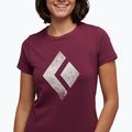 Damen Kletter-T-Shirt Black Diamond Chalked Up lila AP7300525016LRG1 3