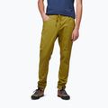 Herren-Kletterhose Black Diamond Notion hellgrün AP7500603039SML1