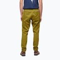 Herren-Kletterhose Black Diamond Notion hellgrün AP7500603039SML1 2