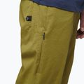 Herren-Kletterhose Black Diamond Notion hellgrün AP7500603039SML1 6