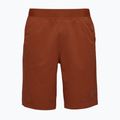 Black Diamond Sierra Shorts für Männer, gebrannte Siena 4