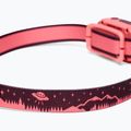 Black Diamond Wiz Kid 40 Himalaya-Salz Kopffackel 2