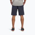 Herren-Shorts Black Diamond Sierra anthrazit 2
