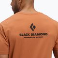 Herren Black Diamond Equipmnt For Alpinist SS Tee moab braun 5