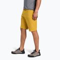 Herren-Shorts Black Diamond Valley amber 3