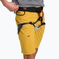 Herren-Shorts Black Diamond Valley amber 7