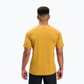 Herren Black Diamond Distance SS Tech Tee bernsteinfarbenes T-shirt 2