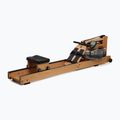 WaterRower Oxbridge S4 Rudergerät