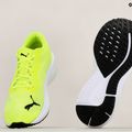 PUMA Aviator Profoam Sky 12 grün 376615 16 Laufschuhe 14