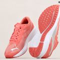 PUMA Aviator Profoam Sky 12 Laufschuhe rosa 376615 12 15