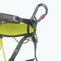 Kletterkarabiner CAMP Atom Belay Lock gun metal 4