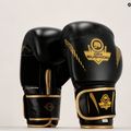 Bushido Naturleder Boxhandschuhe schwarz B-2v13-10oz 24