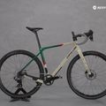 Gravelbike Cipollini AGO O6FI SGRS23 beige-grün M12MC123AGO_DB O6FI 7
