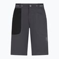 La Sportiva Ecstatic Herren Klettershorts grau N64900999 5