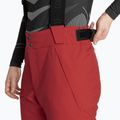 Skihose Herren Colmar Sapporo-Rec english red 4