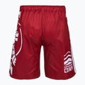 Hayabusa Icon Fight rot ICFS Boxershorts 2