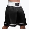 Hayabusa Pro Boxing Trainingsshorts schwarz 2