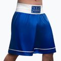 Hayabusa Pro Boxing Trainingsshorts blau 2