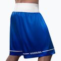 Hayabusa Pro Boxing Trainingsshorts blau 3
