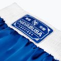 Hayabusa Pro Boxing Trainingsshorts blau 5