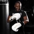 Hayabusa Mayweather Champ weiß/goldene Boxhandschuhe 6