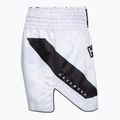 Herren-Trainingsshorts Hayabusa Core Fight white 3
