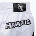 Herren-Trainingsshorts Hayabusa Core Fight white 4