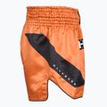 Herren-Trainingsshorts Hayabusa Core Fight orange 3