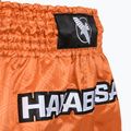 Herren-Trainingsshorts Hayabusa Core Fight orange 4