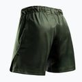 Herren-Trainingsshorts Hayabusa Apex Fight 3/4 green 2