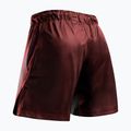 Herren-Trainingsshorts Hayabusa Apex Fight 3/4 red 2
